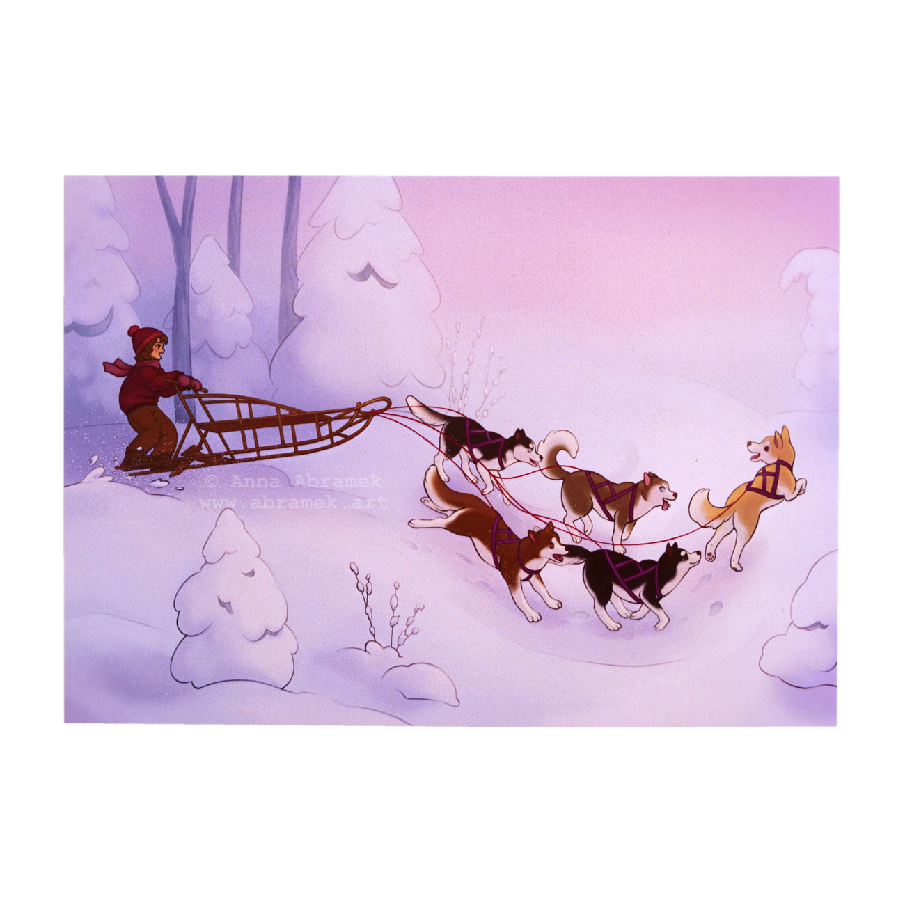 Dog Sledding Postcard Print