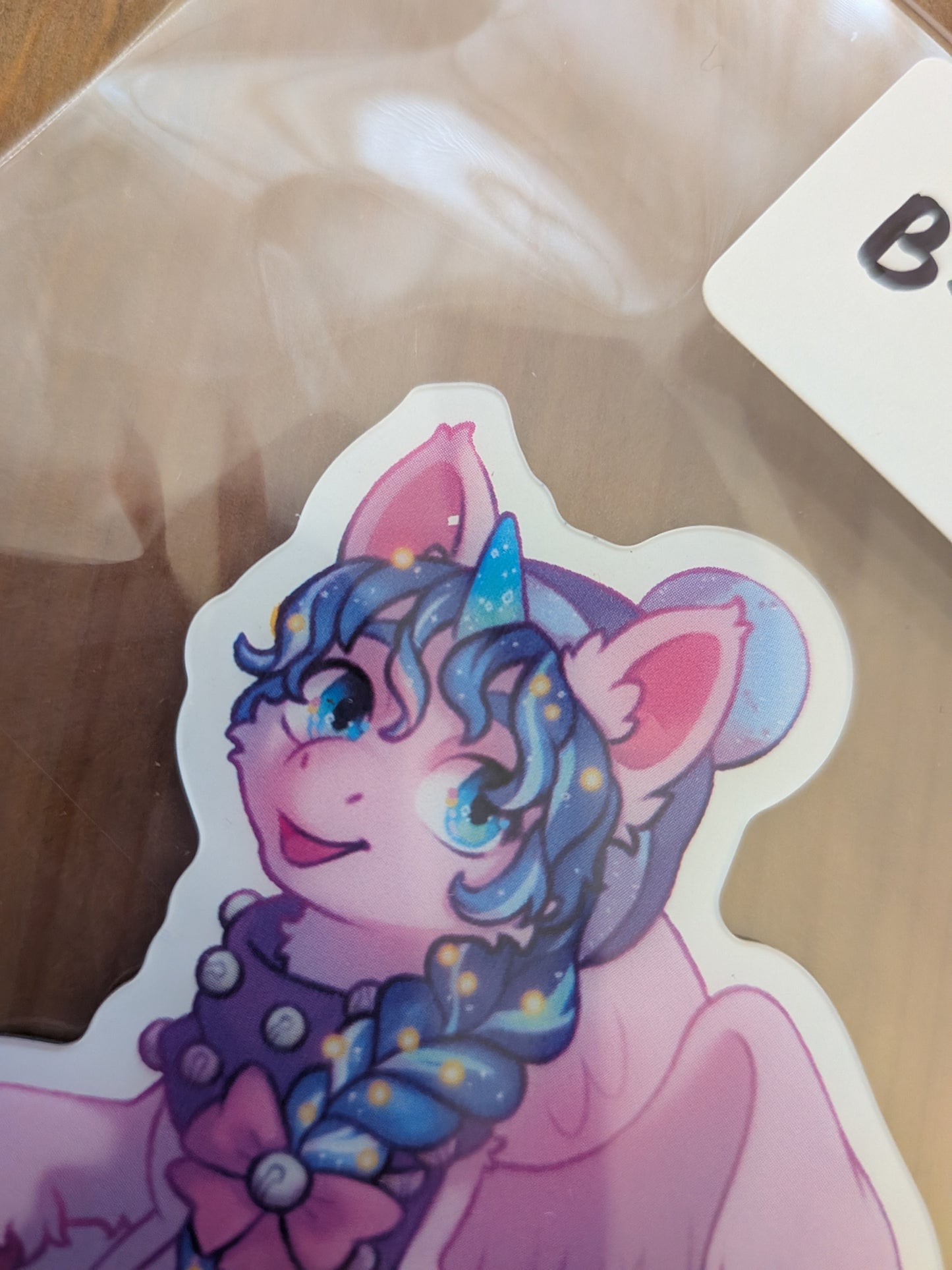 Pony Magnet