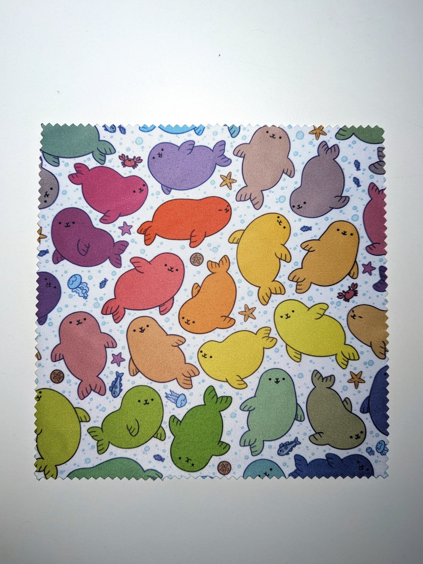 Rainbow Seals Mircrofibre Glass Cleaning Cloth