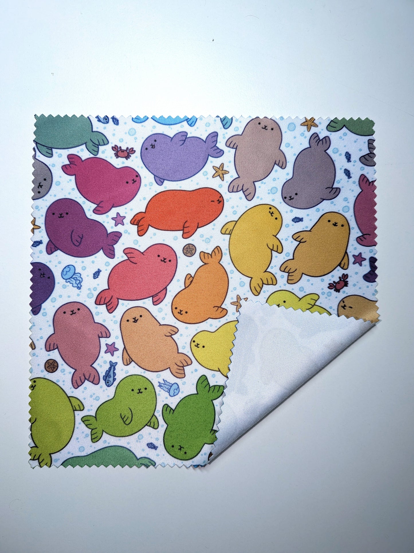 Rainbow Seals Mircrofibre Glass Cleaning Cloth