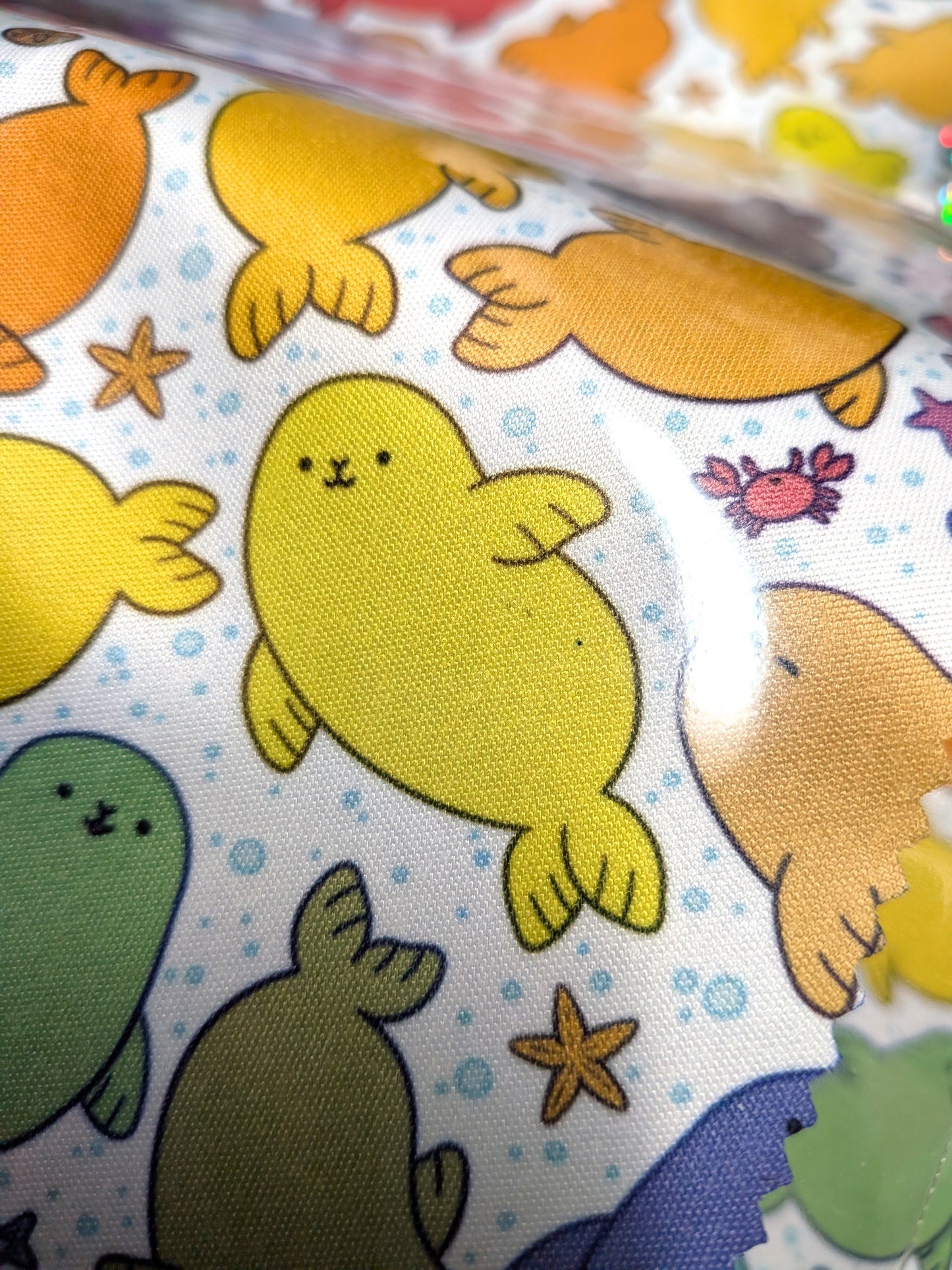 Rainbow Seals Mircrofibre Glass Cleaning Cloth